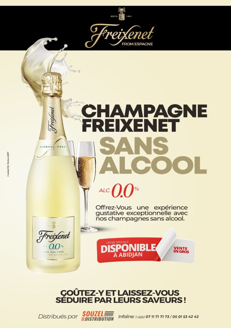 CHAMPAGNE BLANC ( 1 Carton de 6 champagnes )